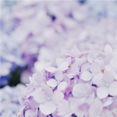 英灵传说bt版(暂未上线)v1.5.1 安卓版
